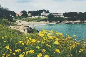 Ville de Martigues : 4 bonnes raisons d’y passer sa retraite